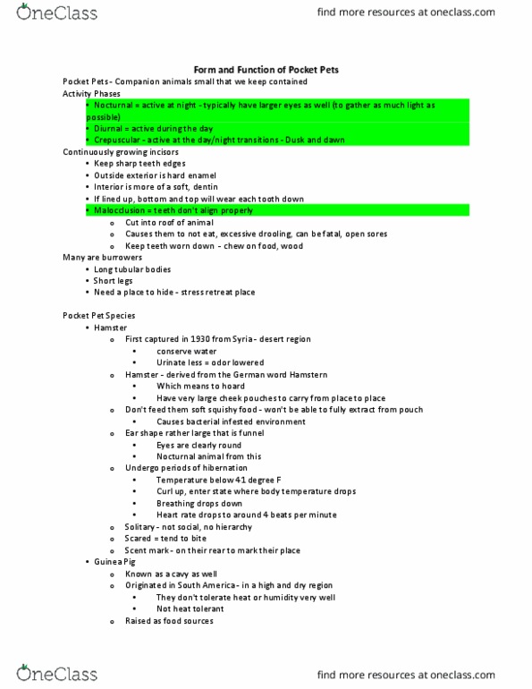 ANS 42 Lecture Notes - Lecture 6: European Polecat, Retina, Gerbil thumbnail