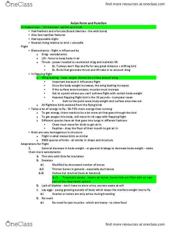 ANS 42 Lecture Notes - Lecture 7: Exhalation, Ostrich, Cervical Vertebrae thumbnail