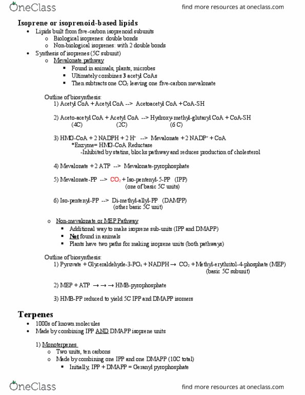 B M B 221 Lecture Notes - Lecture 5: Toluidine, Coal Tar, Triterpene thumbnail