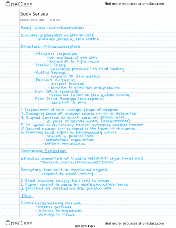 PSYC 3341 Lecture 8: Body Senses thumbnail