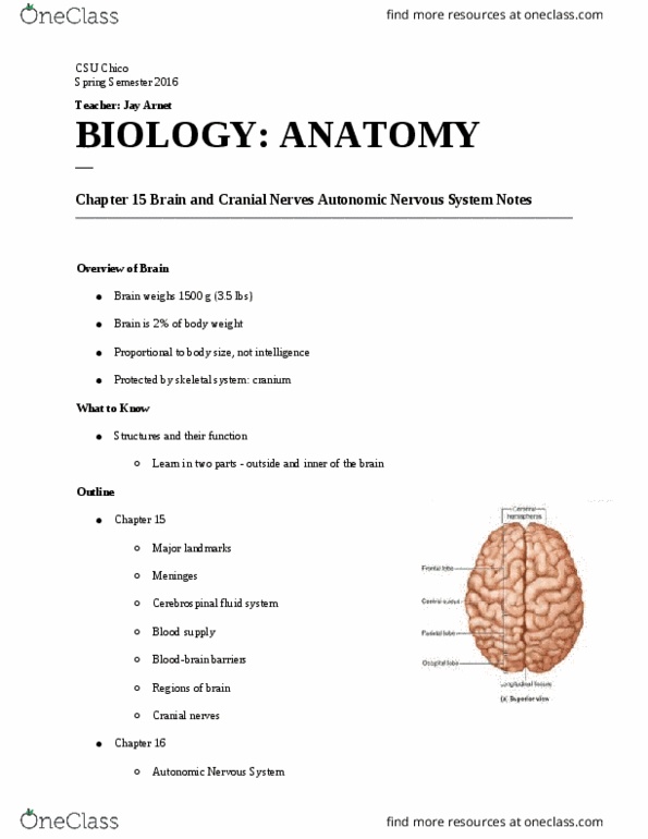 BIOL 103 Lecture Notes - Lecture 3: Parietal Lobe, Buoyancy, Subarachnoid Space thumbnail