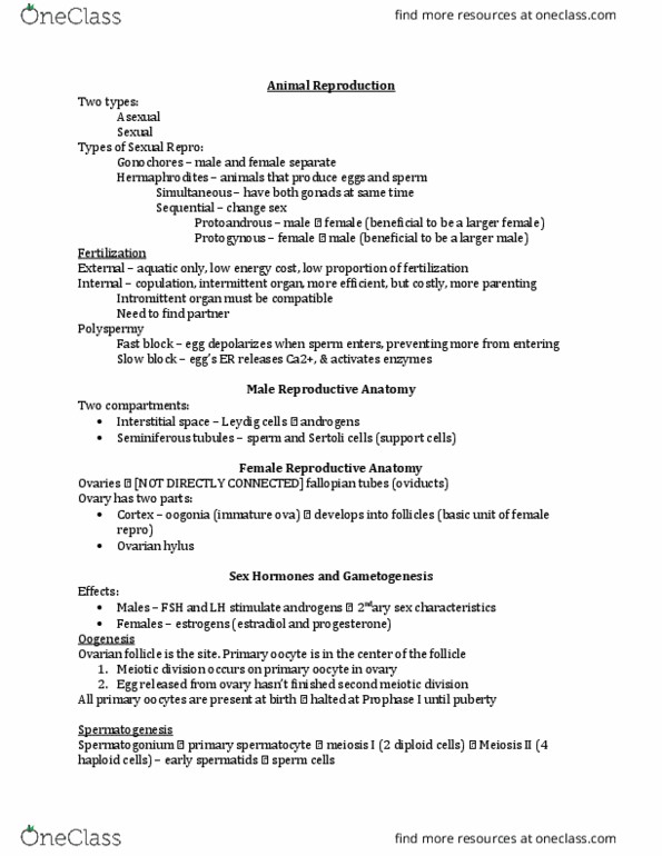 BSC 2011 Lecture Notes - Lecture 12: Spermatid, Meiosis, Spermatocyte thumbnail