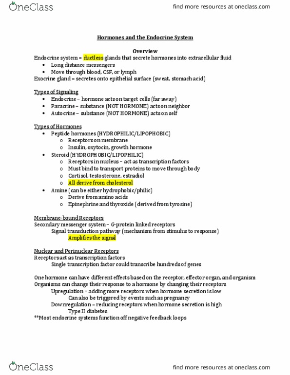 BSC 2011 Lecture Notes - Lecture 19: Luteinizing Hormone, Aldosterone, Atrazine thumbnail