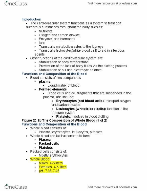 BIOL 2013 Lecture Notes - Lecture 20: Hemostasis, Collagen, Allergen thumbnail