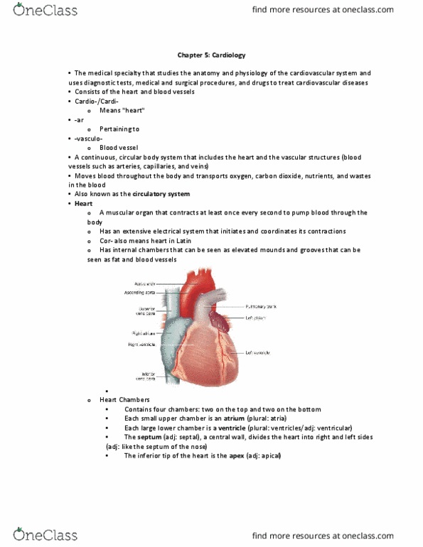 HLTH 354 Lecture Notes - Lecture 5: Bradycardia, Chest Pain, Homocysteine thumbnail
