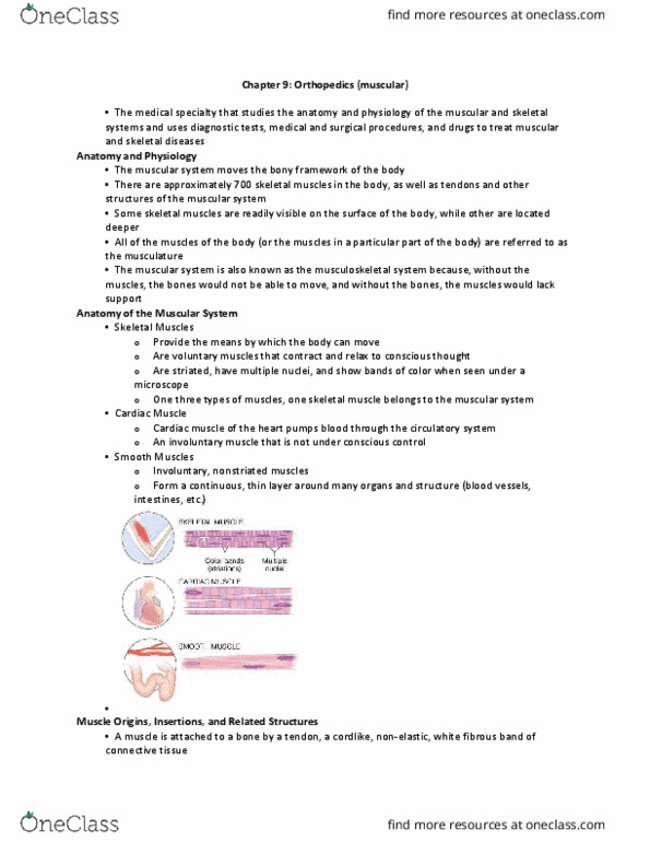 HLTH 354 Lecture Notes - Lecture 8: Myasthenia Gravis, Nonsteroidal Anti-Inflammatory Drug, Corticosteroid thumbnail