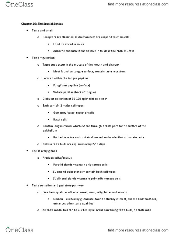 BIOL 2021 Lecture Notes - Lecture 11: Olfactory Tract, Apical Dendrite, Lamina Propria thumbnail