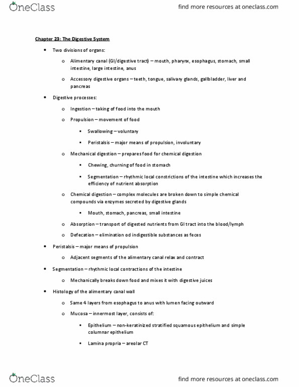 BIOL 2021 Lecture Notes - Lecture 15: Pancreatic Duct, Blood Sugar, Bile Acid thumbnail