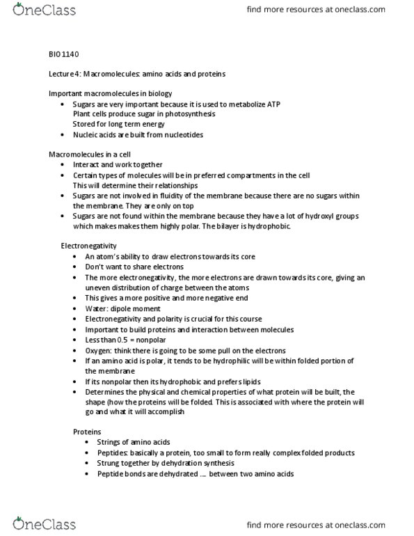 BIO 1140 Lecture Notes - Lecture 4: Dehydration Reaction, Hydrophile, Cell Nucleus thumbnail