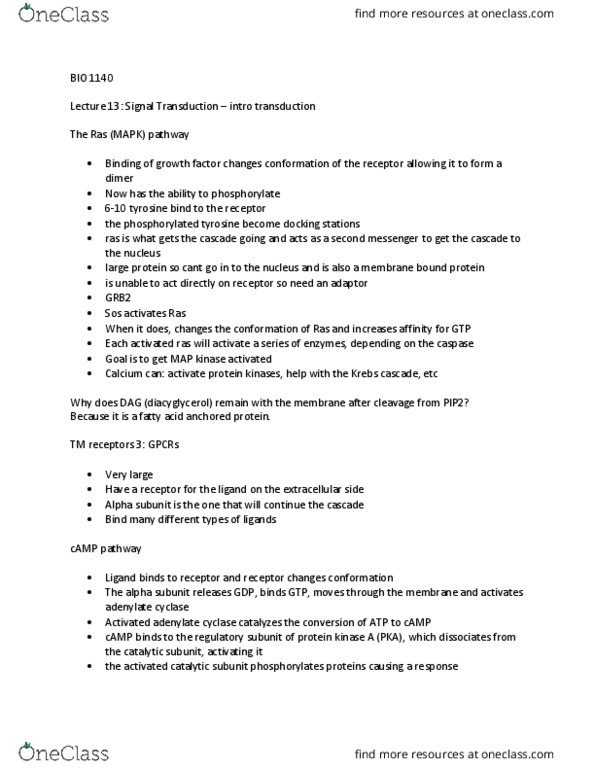 BIO 1140 Lecture Notes - Lecture 13: Endocytosis, Blood Sugar, Adenylyl Cyclase thumbnail