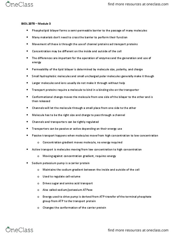 BIOL 2070H Lecture Notes - Lecture 3: Glut4, Antiporter, Resting Potential thumbnail