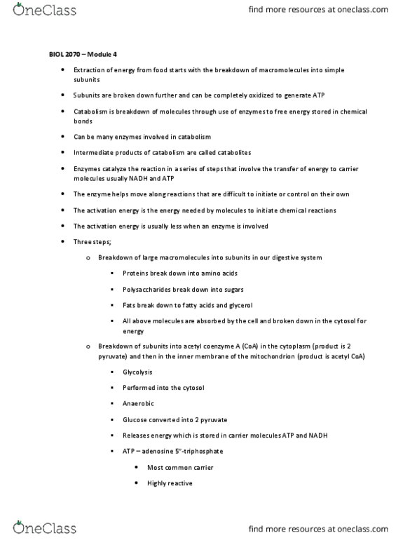 BIOL 2070H Lecture Notes - Lecture 4: Glyceraldehyde, Membrane Potential, Main Source thumbnail