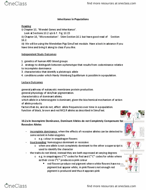 Biology 1001A Lecture Notes - Lecture 12: Membrane Protein, Population Genetics, Sickle-Cell Disease thumbnail