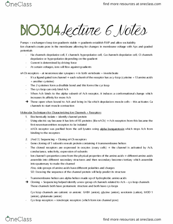 BIO304H5 Lecture Notes - Lecture 6: Nicotinic Acetylcholine Receptor, Alpha Helix, Disulfide thumbnail