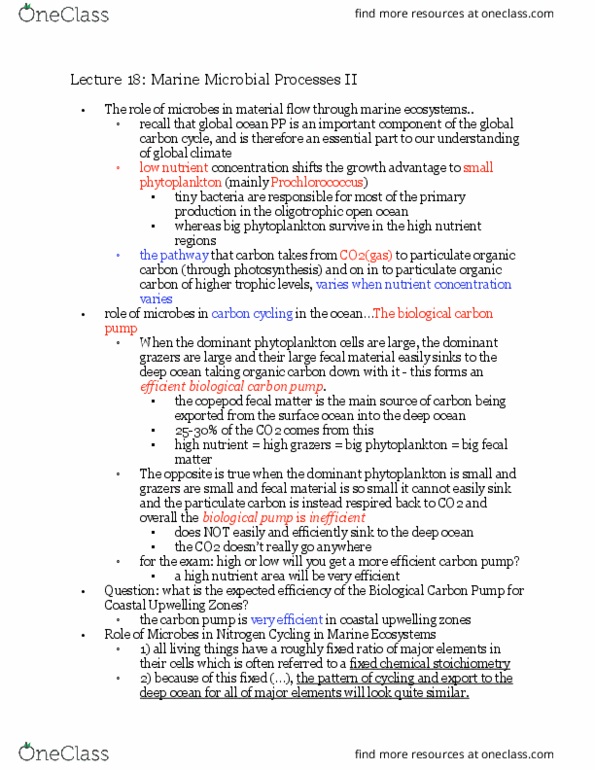 EAS 1540 Lecture Notes - Lecture 18: Prochlorococcus, Biological Pump, Copepod thumbnail