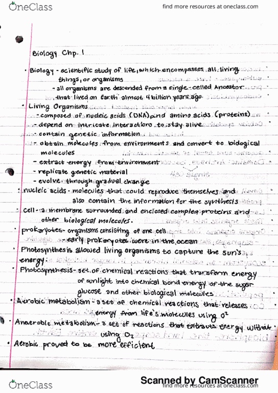 BSC 2010 Chapter 1: biology chapter one notes thumbnail