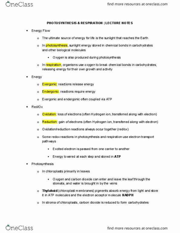 PBIO 1210 Lecture Notes - Lecture 5: Carbon Fixation, Silage, Ethanol Fermentation thumbnail