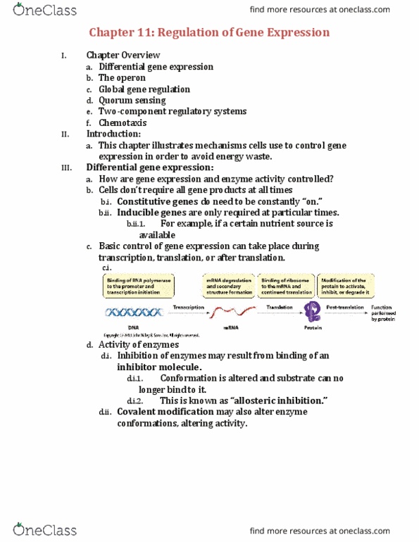 BIOL 2051 Lecture Notes - Lecture 11: Lac Operon, Lactose Permease, Cyclic Adenosine Monophosphate thumbnail