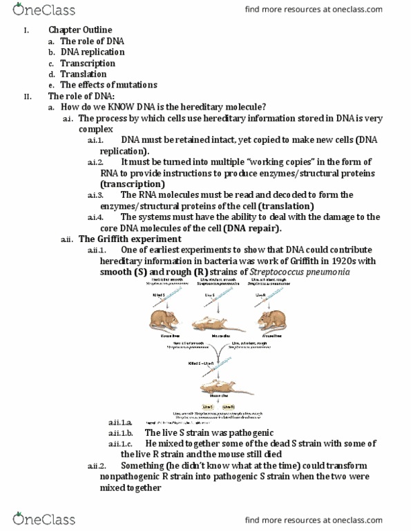 BIOL 2051 Lecture 7: Chapter 7 Notes thumbnail