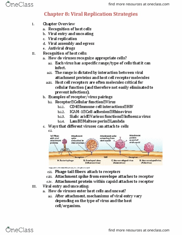 BIOL 2051 Lecture Notes - Lecture 8: Lysogenic Cycle, Lysozyme, Cell Membrane thumbnail