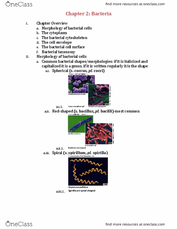 BIOL 2051 Lecture Notes - Lecture 2: Mycoplasma, Hopanoids, Aquaporin thumbnail
