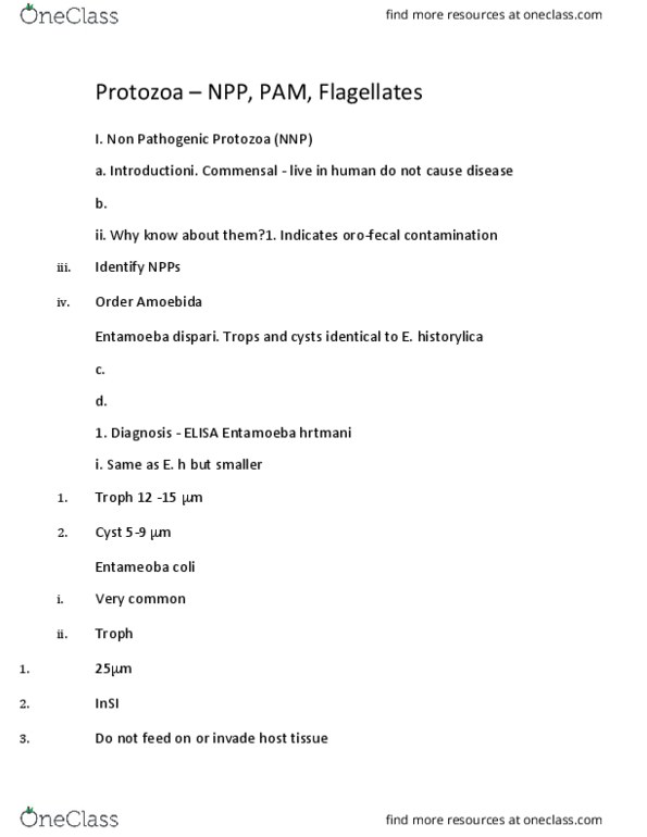 01:146:328 Lecture Notes - Lecture 2: Trypsin, Amphotericin B, Metronidazole thumbnail