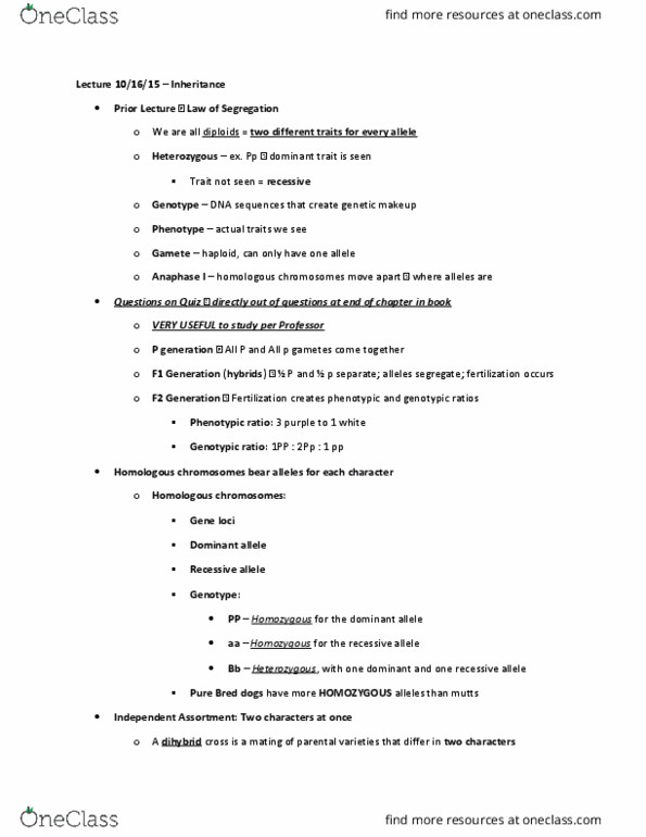 BIOL 1543 Lecture Notes - Lecture 16: Dihybrid Cross, Mendelian Inheritance, Wrinkle thumbnail