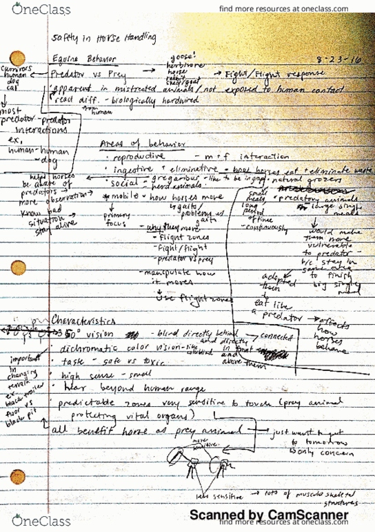 ANEQ 202 Lecture 1: equine behavior thumbnail