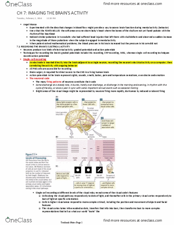 PSYCH 2NF3 Chapter Notes - Chapter 7: Transcranial Magnetic Stimulation, Partial Seizure, Absence Seizure thumbnail