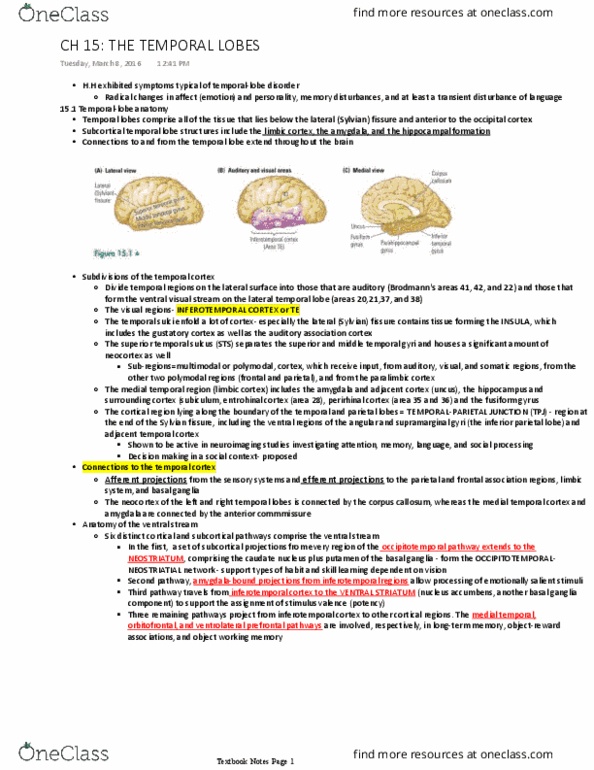 PSYCH 2NF3 Chapter Notes - Chapter 15: Superior Temporal Sulcus, Inferior Temporal Gyrus, Lateral Sulcus thumbnail