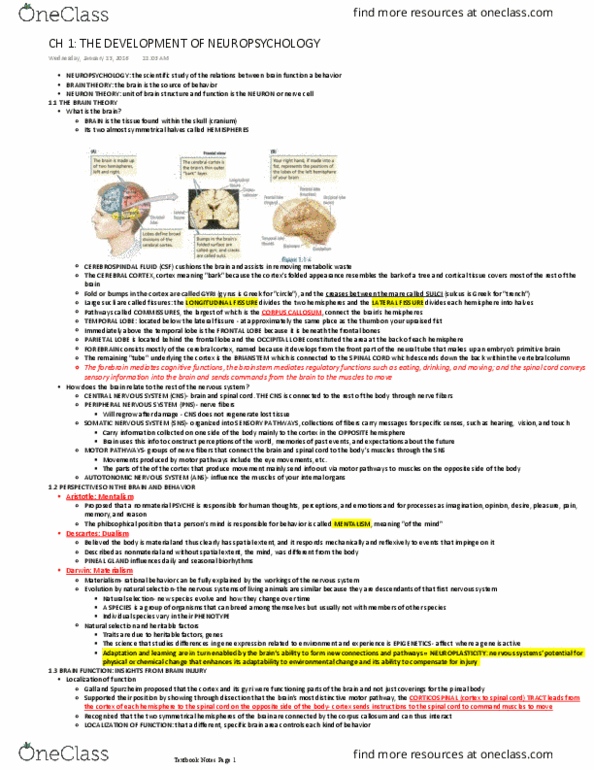 PSYCH 2NF3 Chapter Notes - Chapter 1: Central Nervous System, Temporal Lobe, Auditory Cortex thumbnail