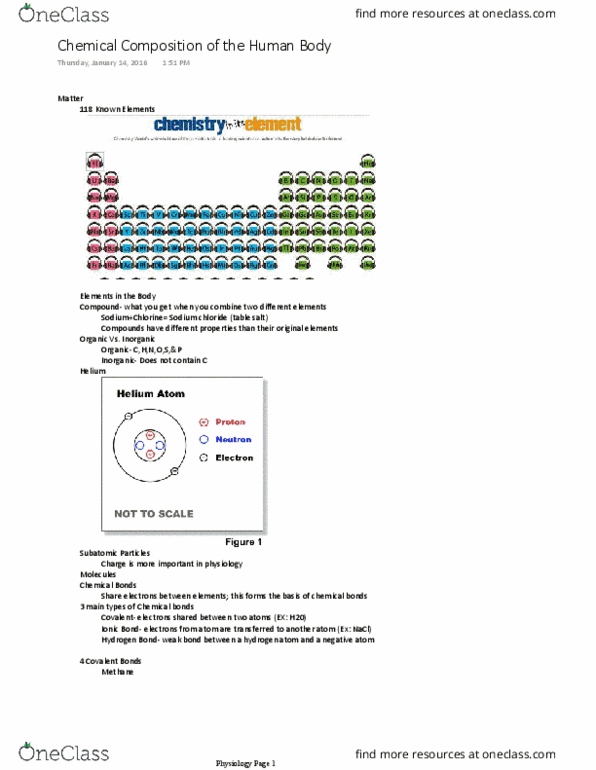 BSC 228 Lecture Notes - Lecture 2: Single Bond, Peptide, Cell Nucleus thumbnail