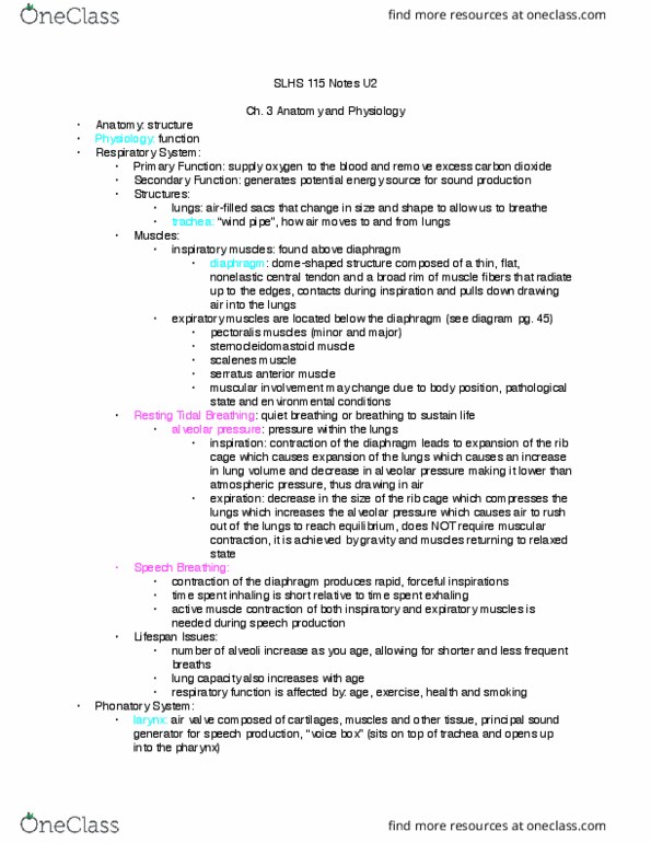 SLHS 11500 Chapter Notes - Chapter Unit 2: Serratus Anterior Muscle, Sternocleidomastoid Muscle, Alveolar Pressure thumbnail