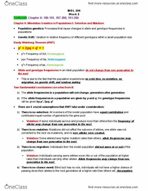 BIOL 206 Lecture Notes - Lecture 2: Allele Frequency, Genotype Frequency, Genetic Drift thumbnail