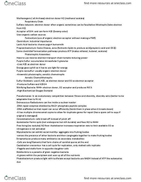 BIOL 22100 Lecture Notes - Lecture 13: Biochemical Oxygen Demand, Lactic Acid, Deinococcus thumbnail