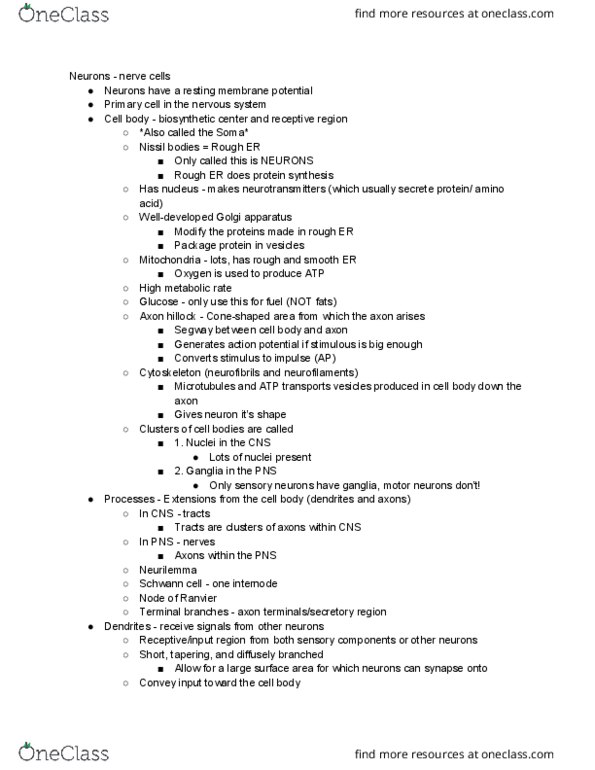 EXSC 224 Lecture Notes - Lecture 2: Axon Hillock, Resting Potential, Schwann Cell thumbnail