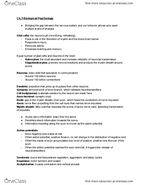 PSY 2012 Lecture Notes - Lecture 3: Myelin, Postcentral Gyrus, Reticular Formation thumbnail