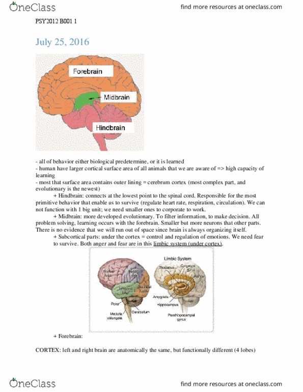 PSY 2012 Lecture Notes - Lecture 12: Classical Conditioning, Limbic System, Hindbrain thumbnail