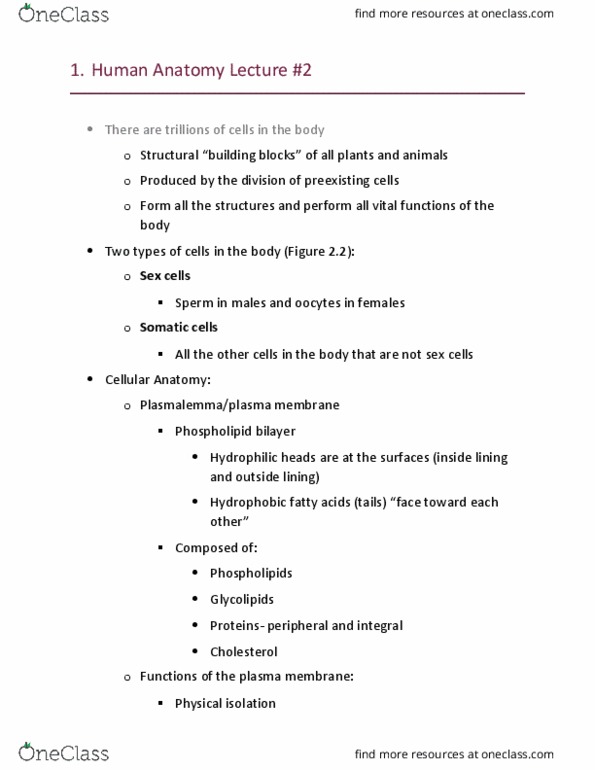 BIOL 2443 Lecture Notes - Lecture 2: Cell Membrane, Facilitated Diffusion, Membrane Transport Protein thumbnail