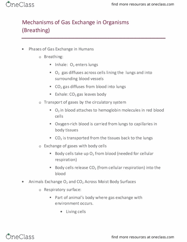 BIOL-Q 201 Lecture Notes - Lecture 14: Branchial Arch, Gill, Red Blood Cell thumbnail