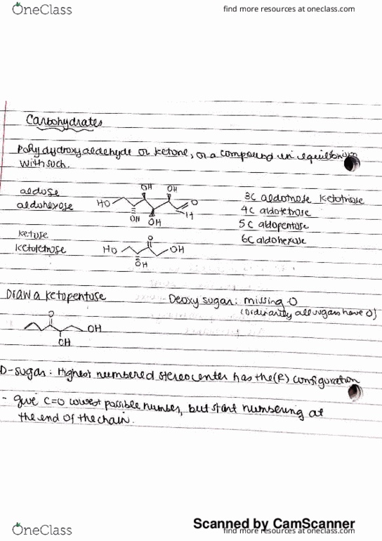 CAS CH 174 Lecture 1: Carbohydrates Class Notes Part 1 thumbnail