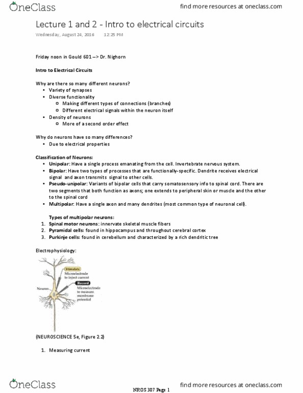 NROS 307 Lecture Notes - Lecture 2: Purkinje Cell, Cerebral Cortex, Voltage thumbnail