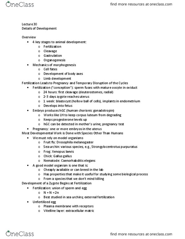 BSC 116 Lecture Notes - Lecture 30: Red Junglefowl, Strongylocentrotus Purpuratus, Sea Urchin thumbnail