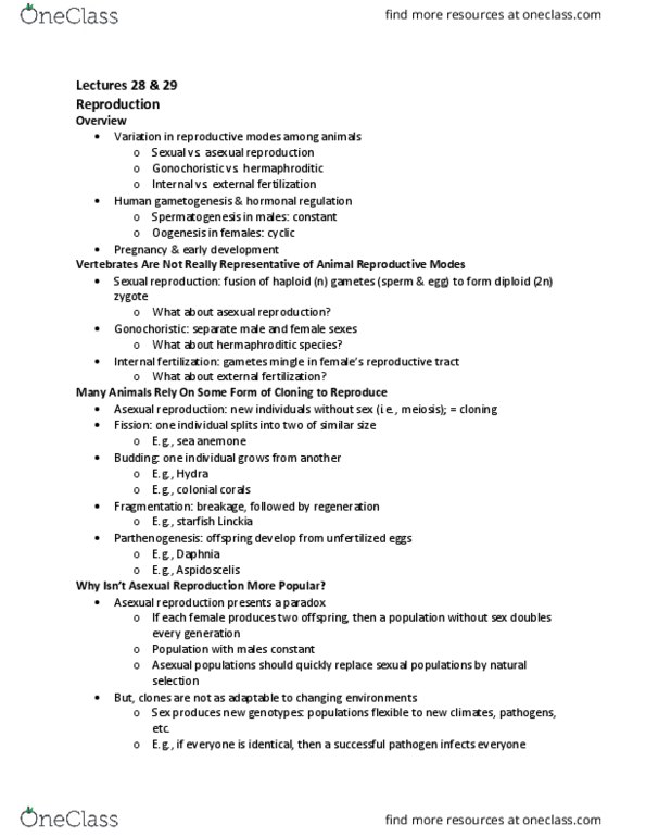 BSC 116 Lecture Notes - Lecture 28: Gonochorism, Oogenesis, Vas Deferens thumbnail