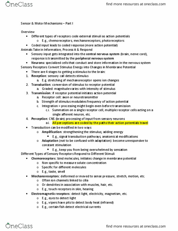 BSC 116 Lecture Notes - Lecture 32: Sliding Filament Theory, Myocyte, Skeletal Muscle thumbnail