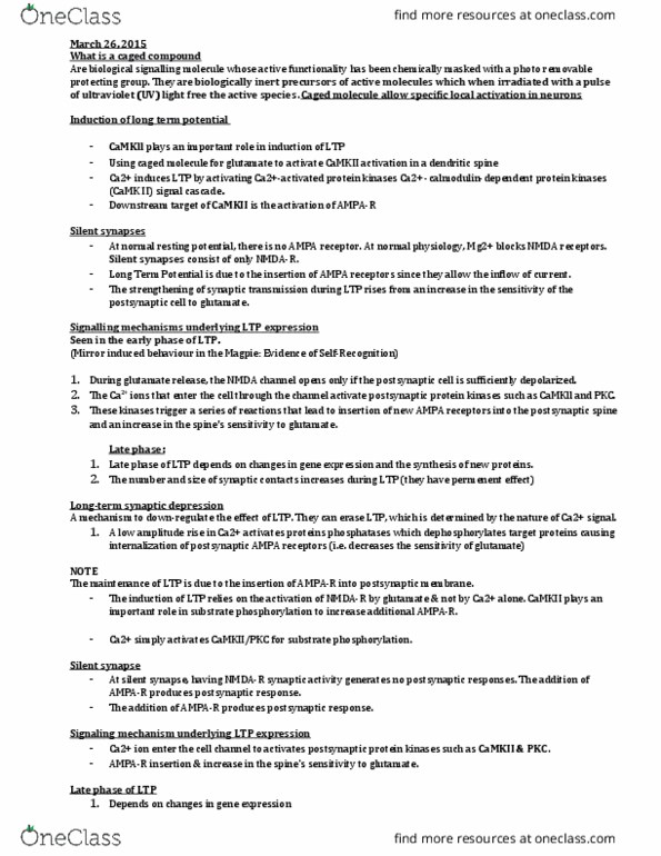 HSC 350 Lecture Notes - Lecture 10: Ampa Receptor, Dendritic Spine, Protecting Group thumbnail