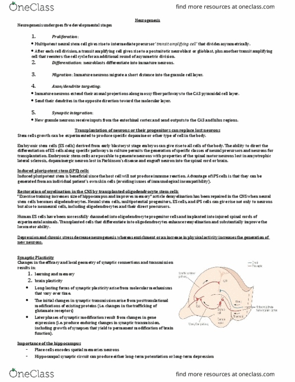 HSC 350 Lecture Notes - Lecture 9: Amyotrophic Lateral Sclerosis, Synaptic Plasticity, Dopaminergic Cell Groups thumbnail