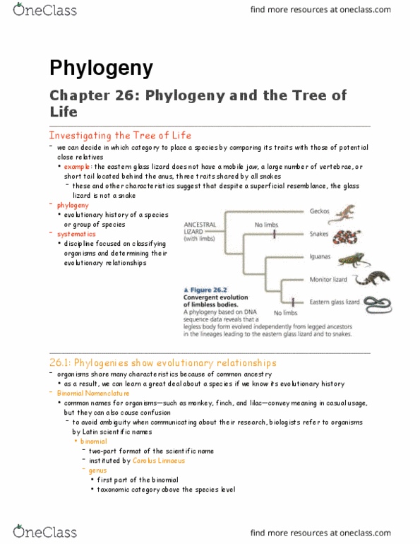 BISC 1112 Lecture Notes - Lecture 8: Molecular Phylogenetics, Carl Linnaeus, Polytomy thumbnail