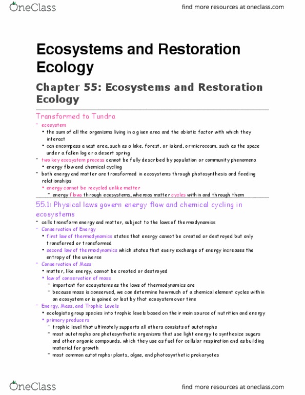 BISC 1112 Lecture Notes - Lecture 11: Restoration Ecology, Cellular Respiration, Autotroph thumbnail