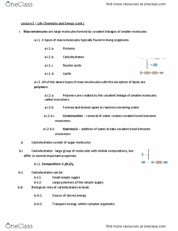 BSC 2010 Lecture Notes - Lecture 3: Covalent Bond, Cellulose, Glycogen thumbnail